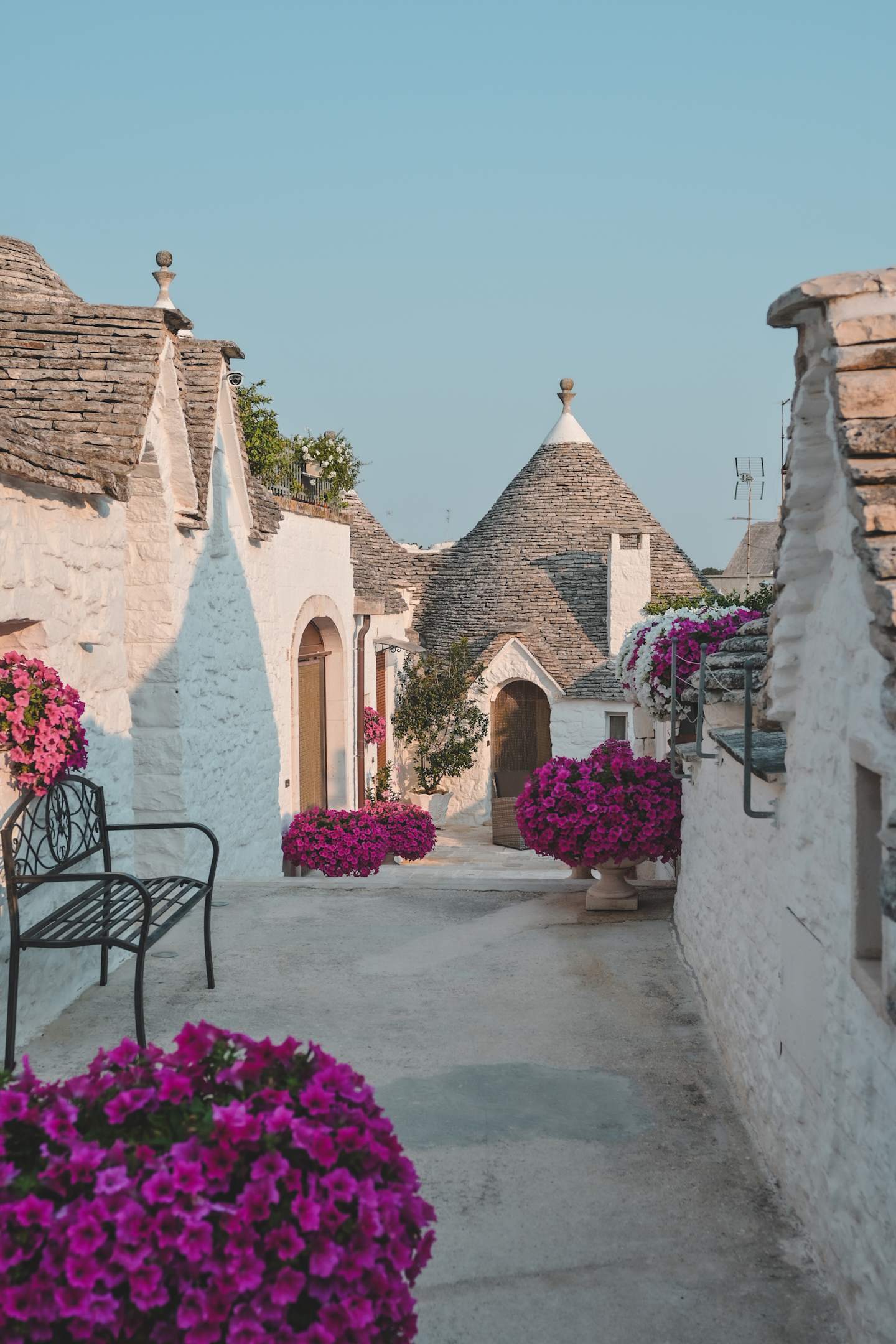A charming alleyway lined with traditional Trulli houses, their distinctive conical roofs adorned with vibrant purple flowers in the foreground, set against a clear blue sky in the background.