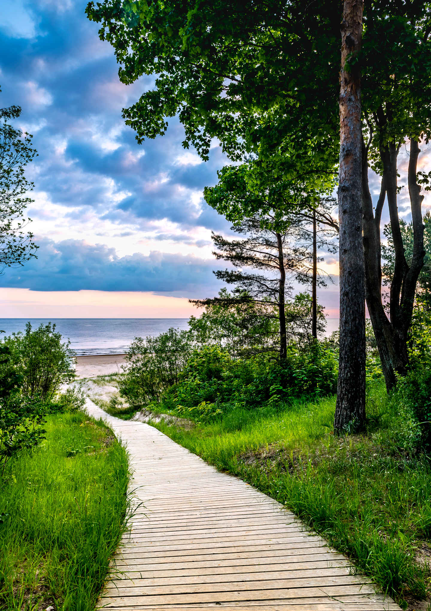 A wooden walkway leads through a lush, green landscape towards a serene lake, framed by a cloudy sky and surrounded by tall trees.