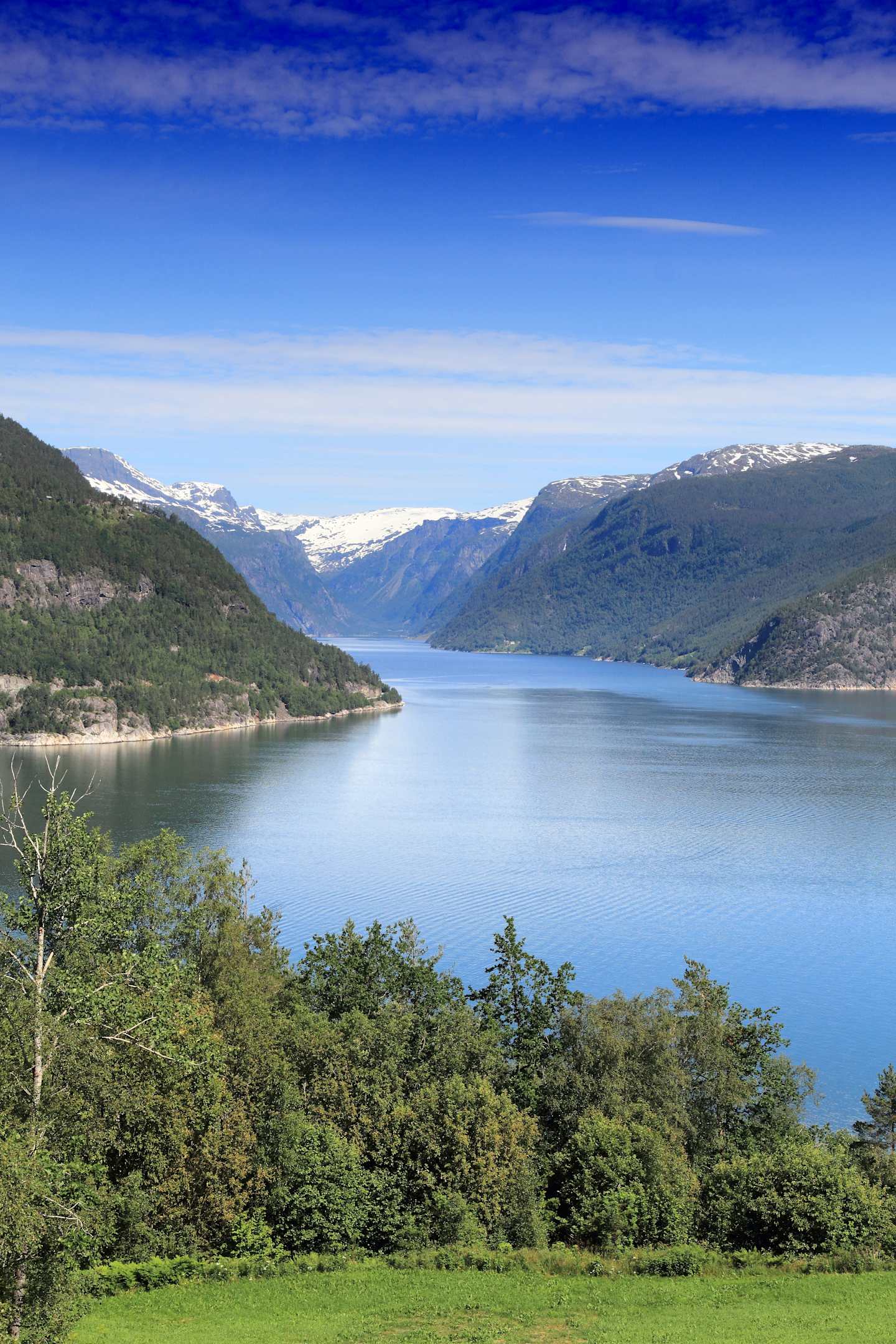 A serene landscape with a tranquil lake surrounded by lush green forests and towering snow-capped mountains under a clear blue sky.