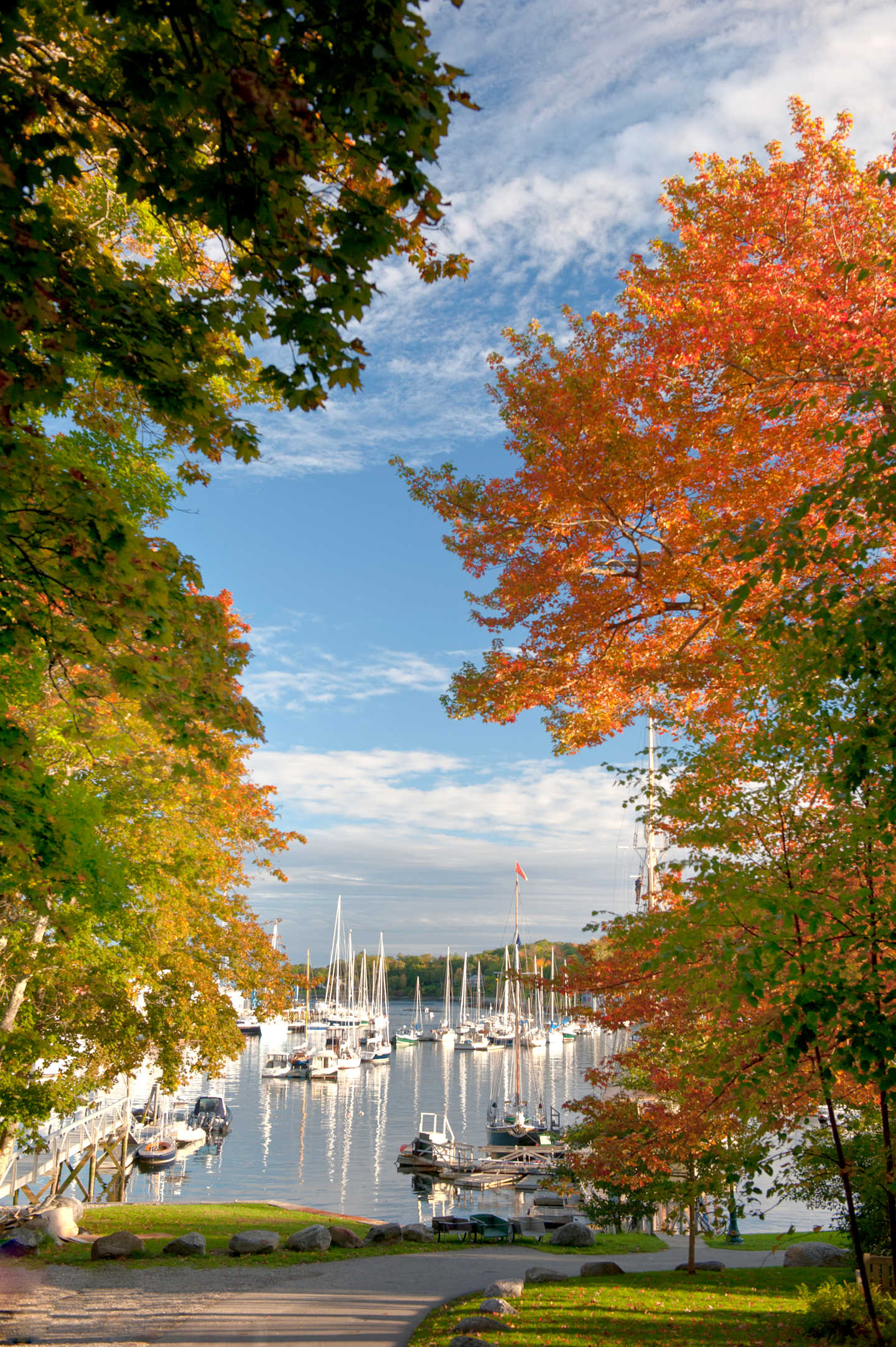 A scenic harbor surrounded by vibrant autumn foliage, with sailboats and yachts moored in the calm waters.