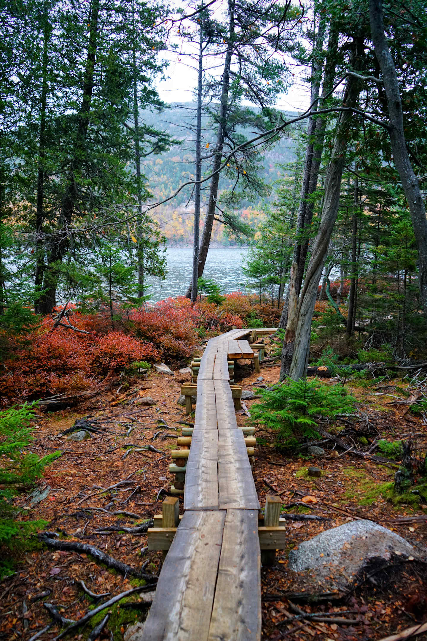 A wooden walkway leads through a lush, forested landscape with a lake visible in the distance, surrounded by vibrant autumn foliage and towering evergreen trees.
