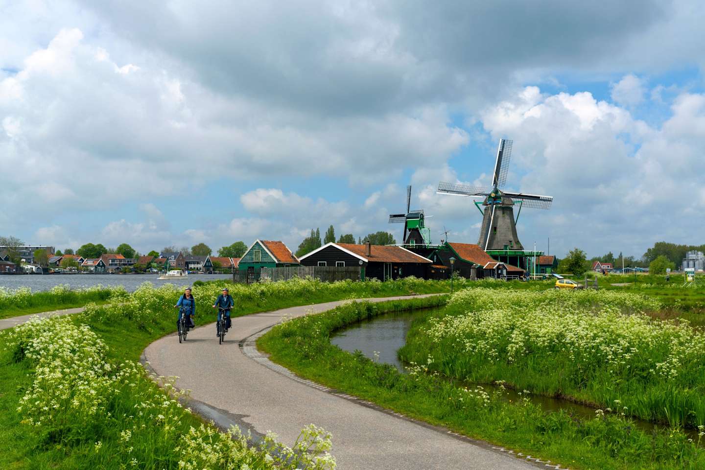 A scenic landscape with a winding path leading past blooming wildflowers and traditional Dutch windmills against a cloudy sky.
