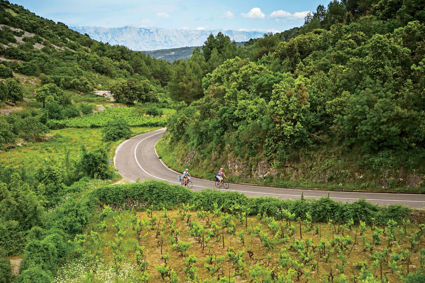 A winding road winds through a lush, green landscape with mountains in the distance, with cyclists riding along the road.