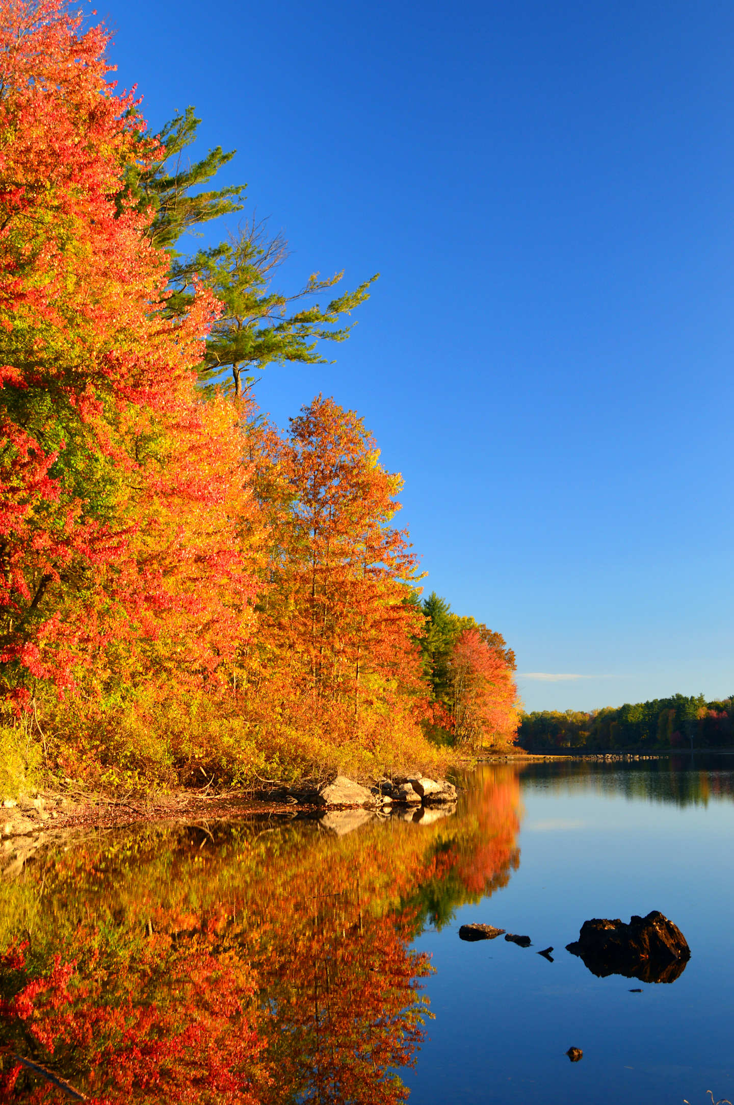 A serene lake surrounded by vibrant autumn foliage, reflecting the colorful trees in its calm waters under a clear blue sky.
