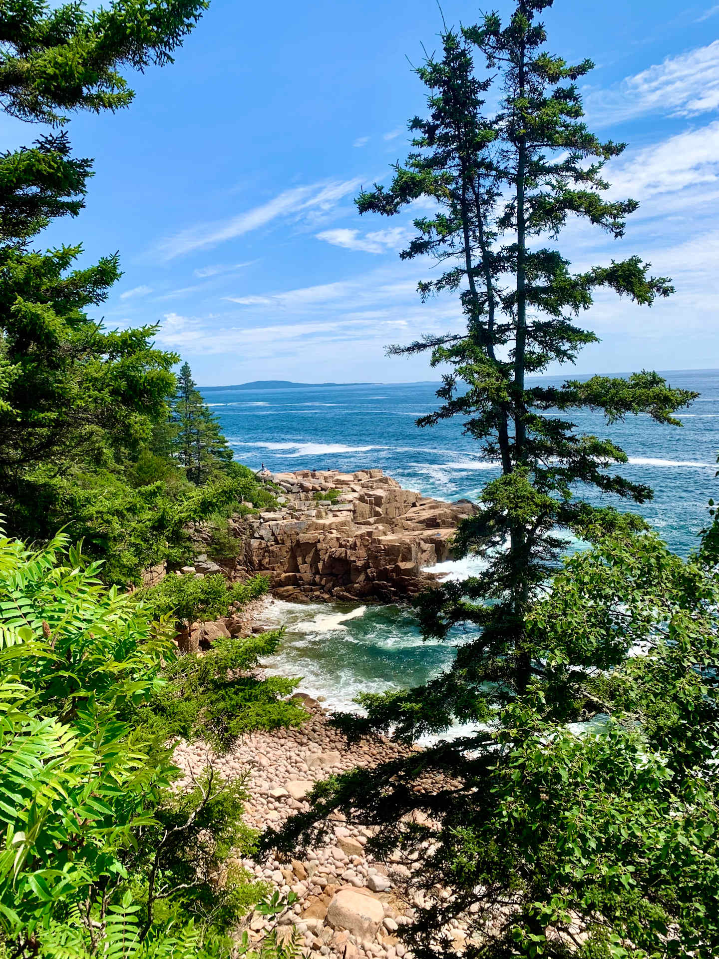 A lush, green forest with tall pine trees frames a scenic coastal landscape featuring rocky cliffs, crashing waves, and a vast expanse of blue ocean in the background.