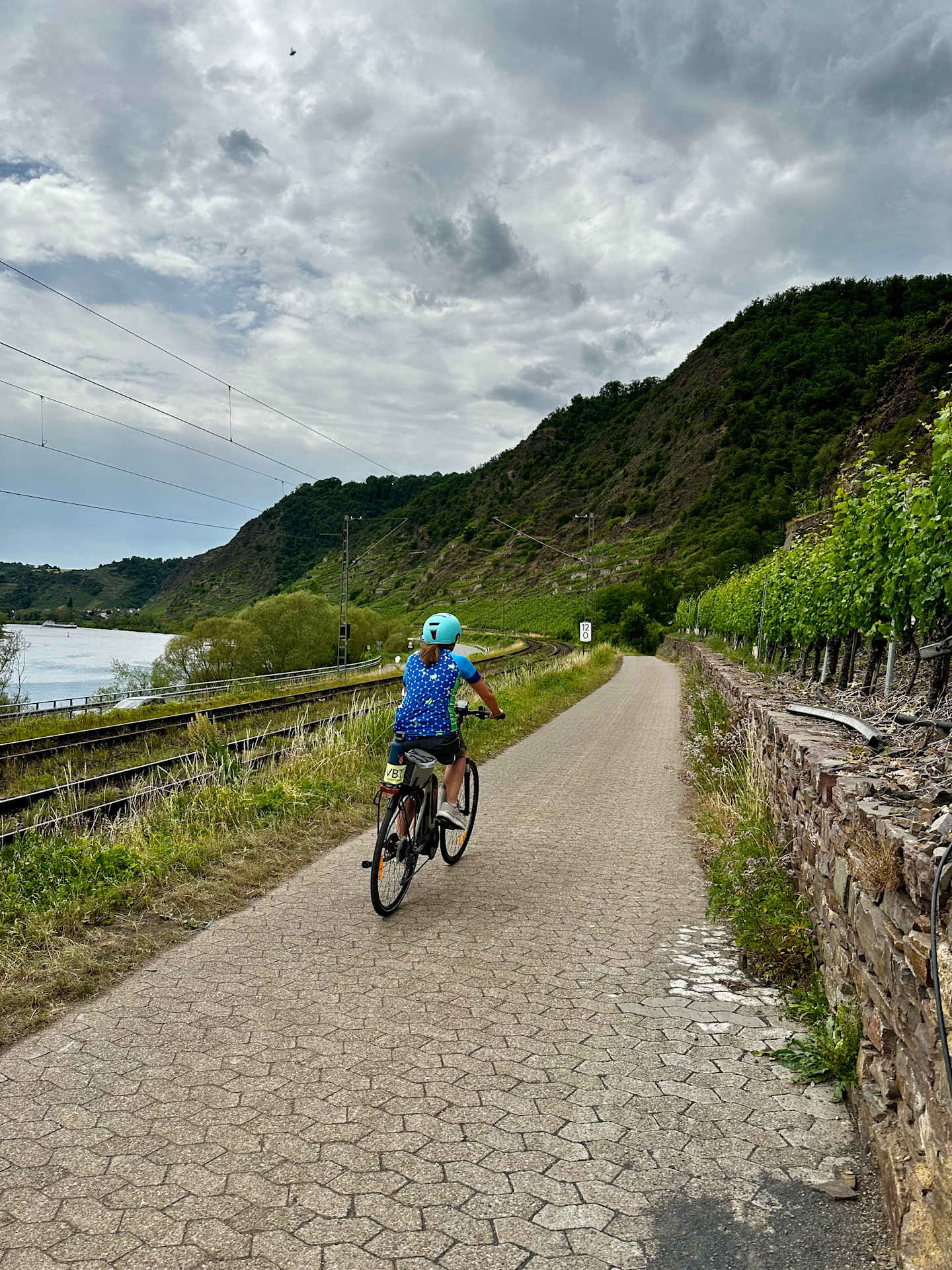 Rhine Bike & River Cruise | Basel to Amsterdam Guided Bicycling Vacation