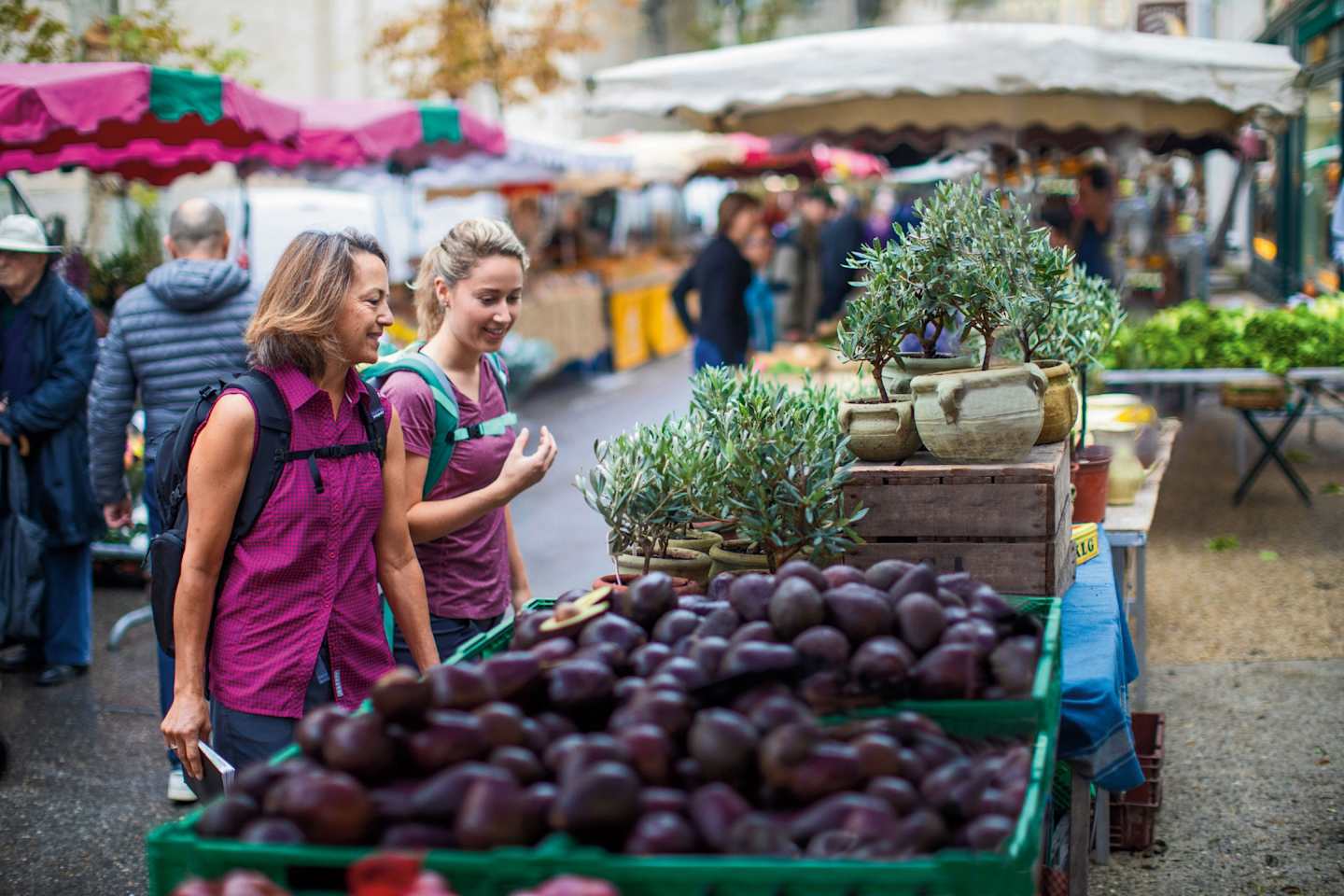 France Bike & River Cruise: Lyon to Nice Guided Bicycling Vacation