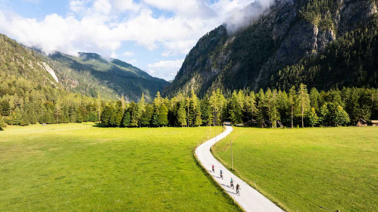 A lush green meadow with a winding path leading through it, surrounded by towering mountains and dense forests under a cloudy sky.