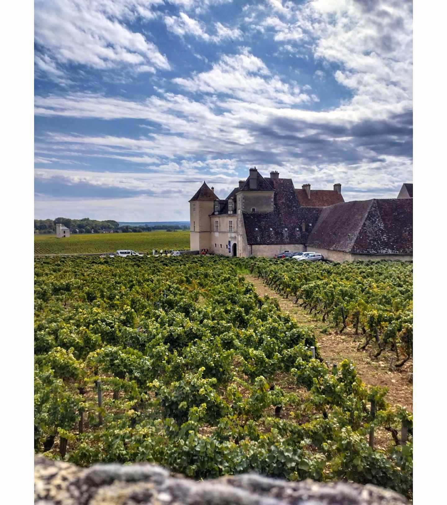 A picturesque medieval castle nestled among lush vineyards, set against a dramatic cloudy sky.