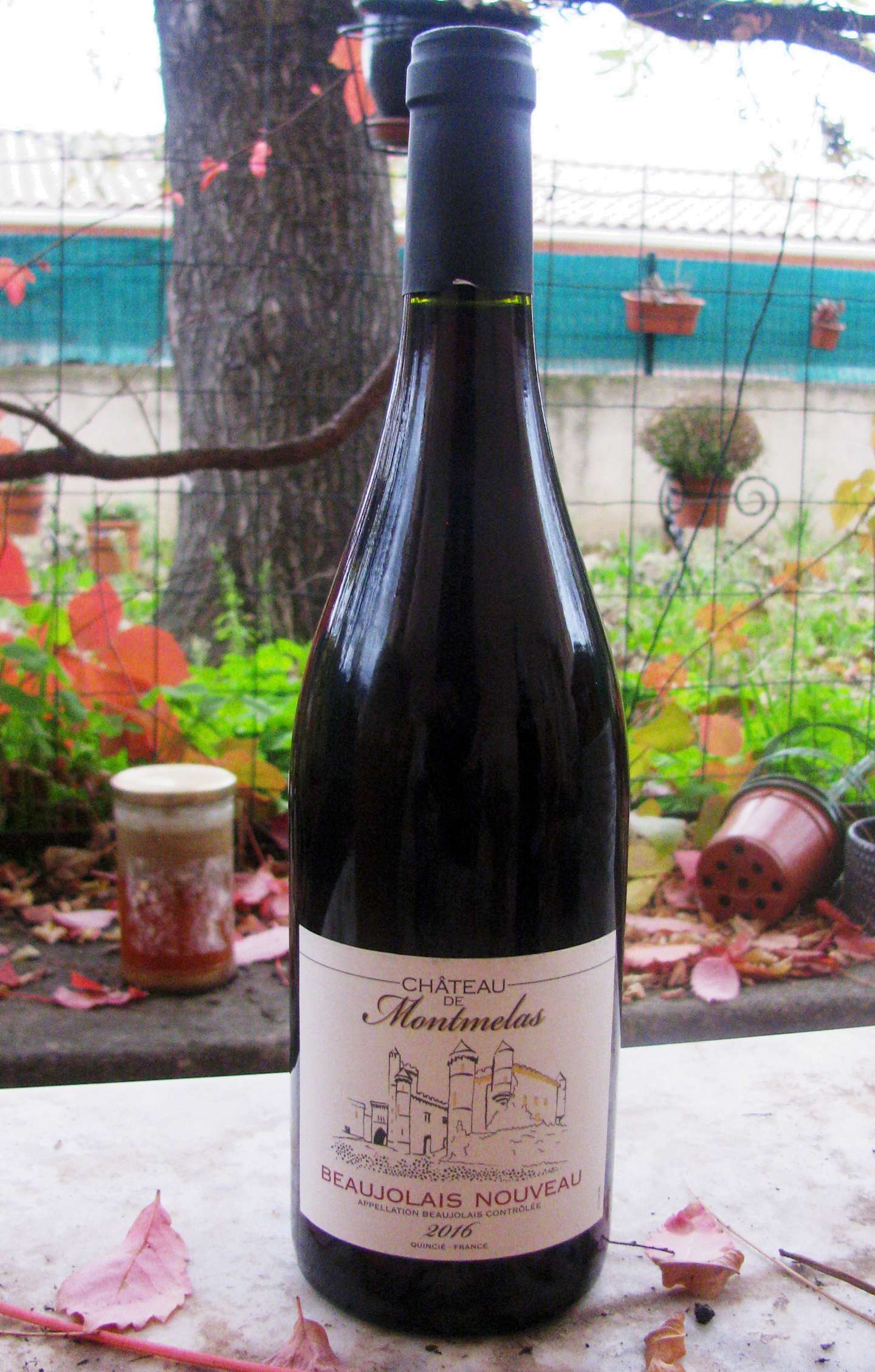 A bottle of Beaujolais Nouveau wine sits in the foreground, surrounded by various objects including a spool of thread and a potted plant, with a blurred outdoor scene visible in the background.
