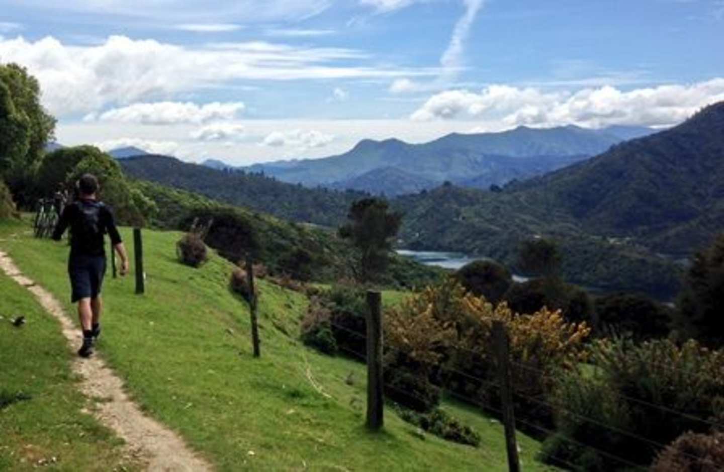 A person walking on a grassy path with a scenic mountain landscape in the background, featuring lush greenery, a lake, and a cloudy sky.