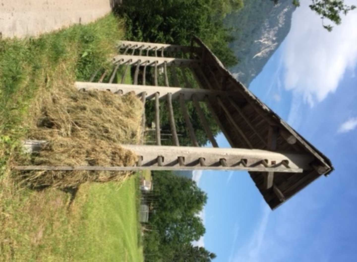 A wooden structure with a triangular roof stands in a grassy field, surrounded by trees and a clear blue sky.
