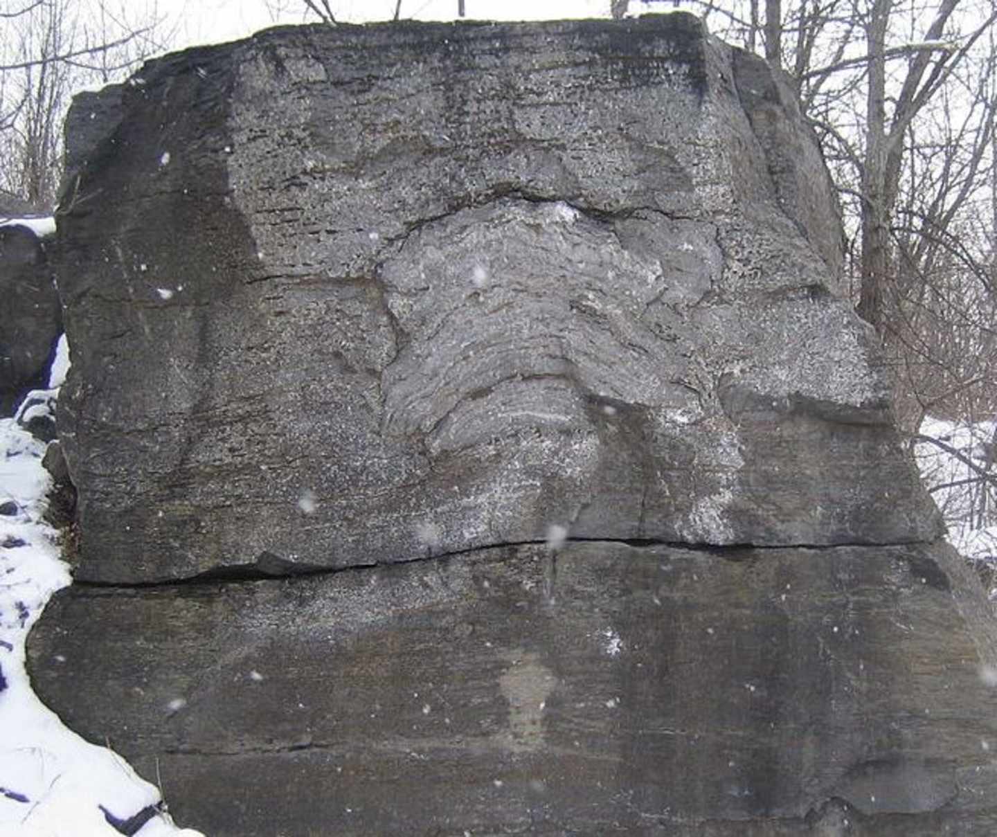 A large, weathered rock formation stands in a snowy, wooded landscape, with bare tree branches visible in the background.