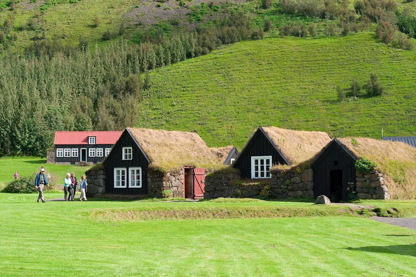 Quaint traditional Icelandic turf houses nestled in a lush, verdant landscape with rolling hills in the background.