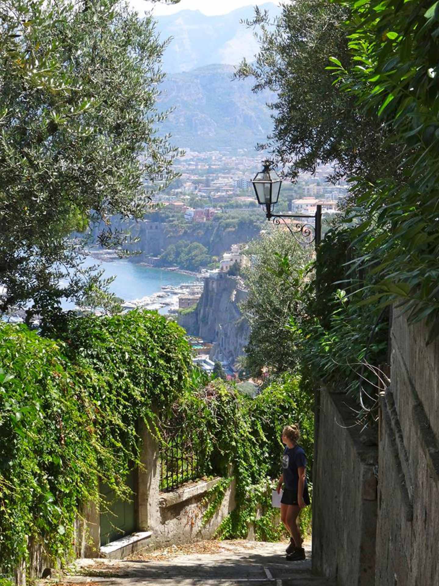 A winding stone path leads through a lush, verdant landscape, framed by towering olive trees and offering a breathtaking view of a distant town nestled in the valley below.