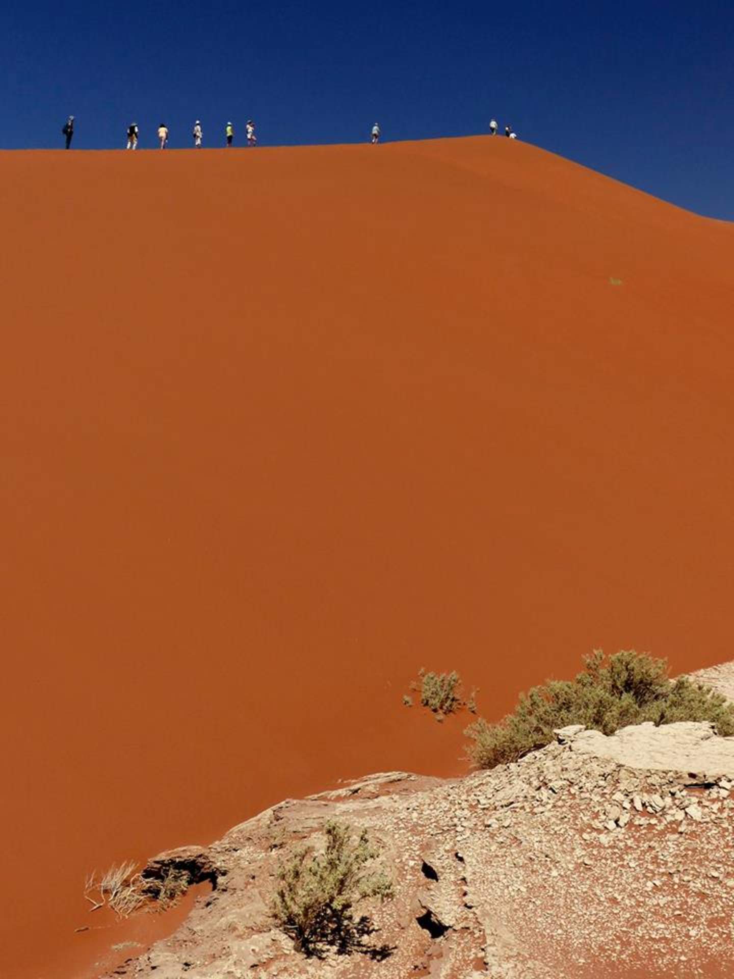 A vast, vibrant orange sand dune rises against a clear blue sky, with several people silhouetted atop the dune's crest.