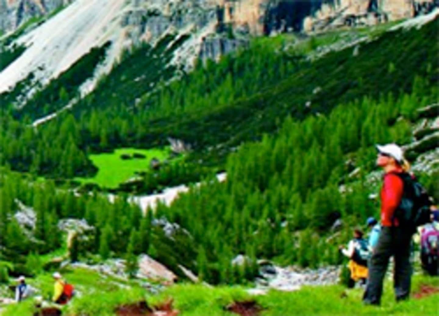A lush, green landscape with a person in the foreground, surrounded by towering mountains and a serene, grassy environment.