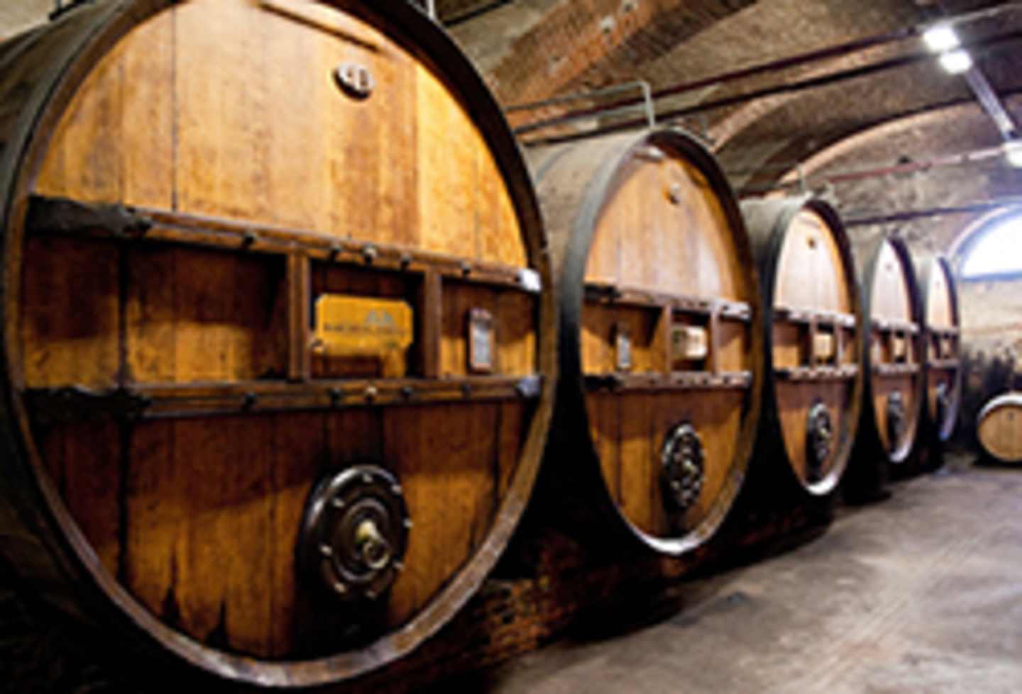 Rows of large wooden barrels, likely used for aging wine or other alcoholic beverages, are stacked in a dimly lit, industrial-looking space.