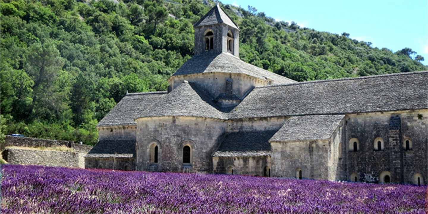 A medieval stone church with a tall bell tower stands amidst a vibrant field of purple lavender flowers, surrounded by a lush, forested landscape.