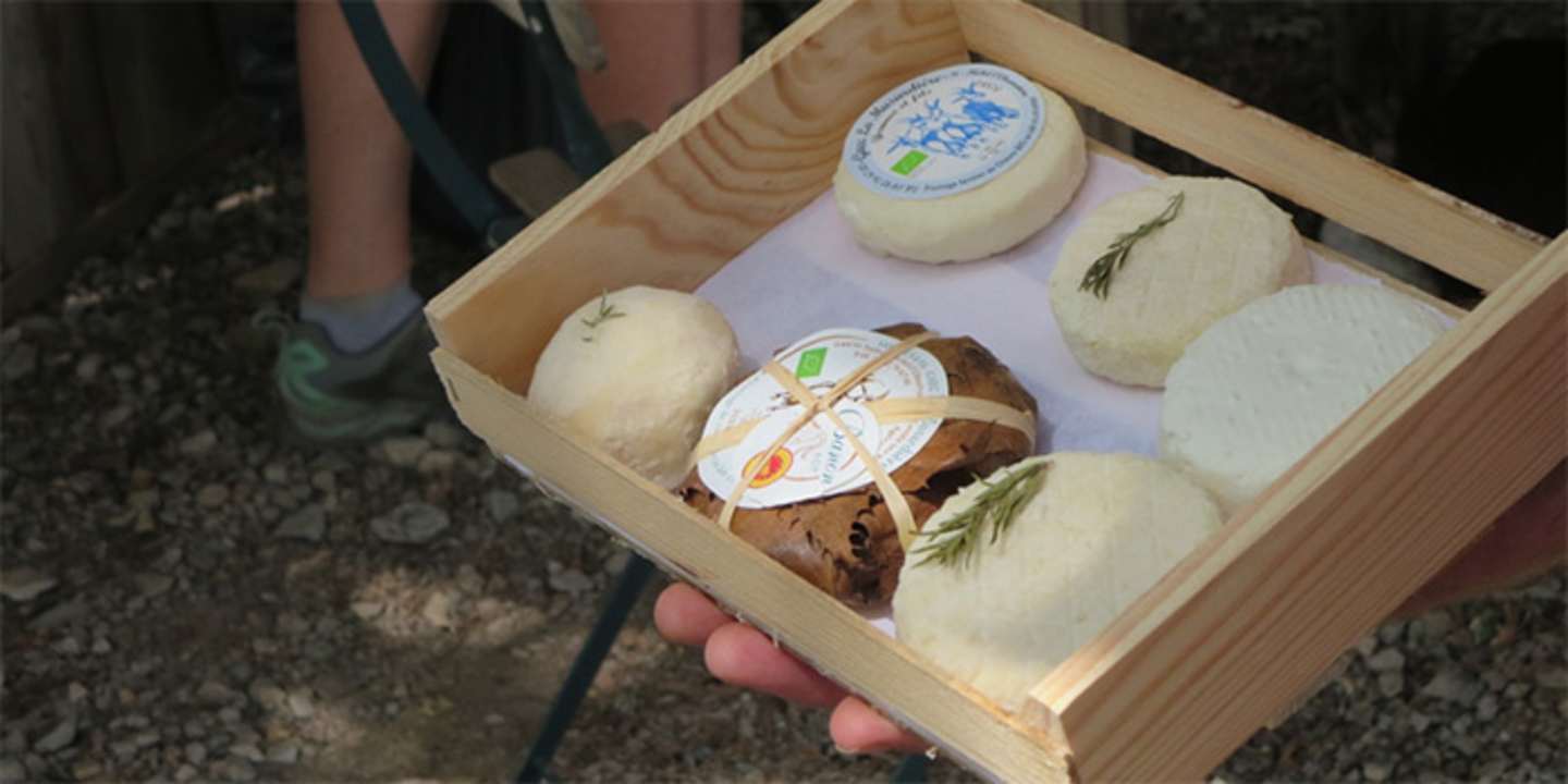 A wooden crate containing various dairy products, including a round cheese with a label, surrounded by a dark background.