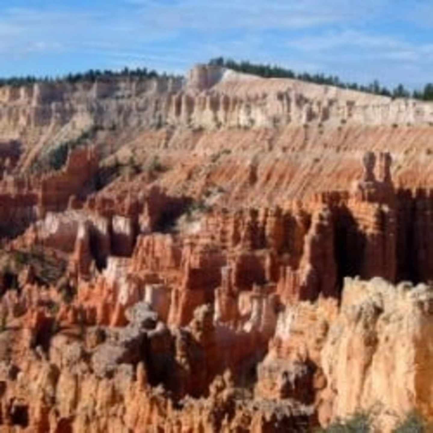A vast, rugged landscape of towering red rock formations and deep canyons, set against a bright blue sky, creates a breathtaking natural scene.