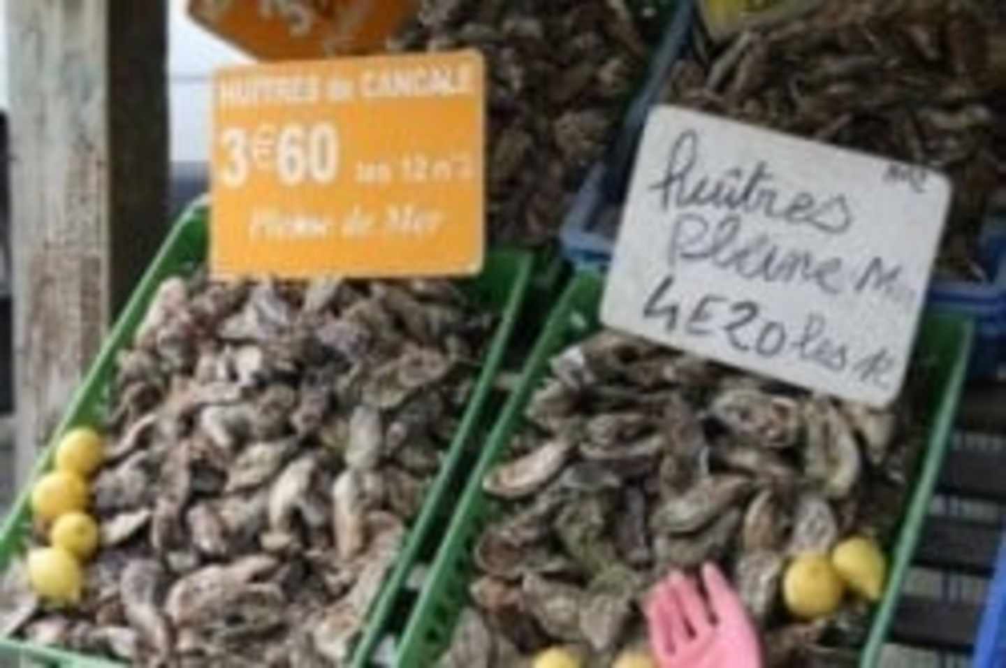 The image shows a display of various types of mushrooms, with price tags indicating their prices per kilogram. The mushrooms appear to be displayed on a wooden surface, with a background of other produce items.