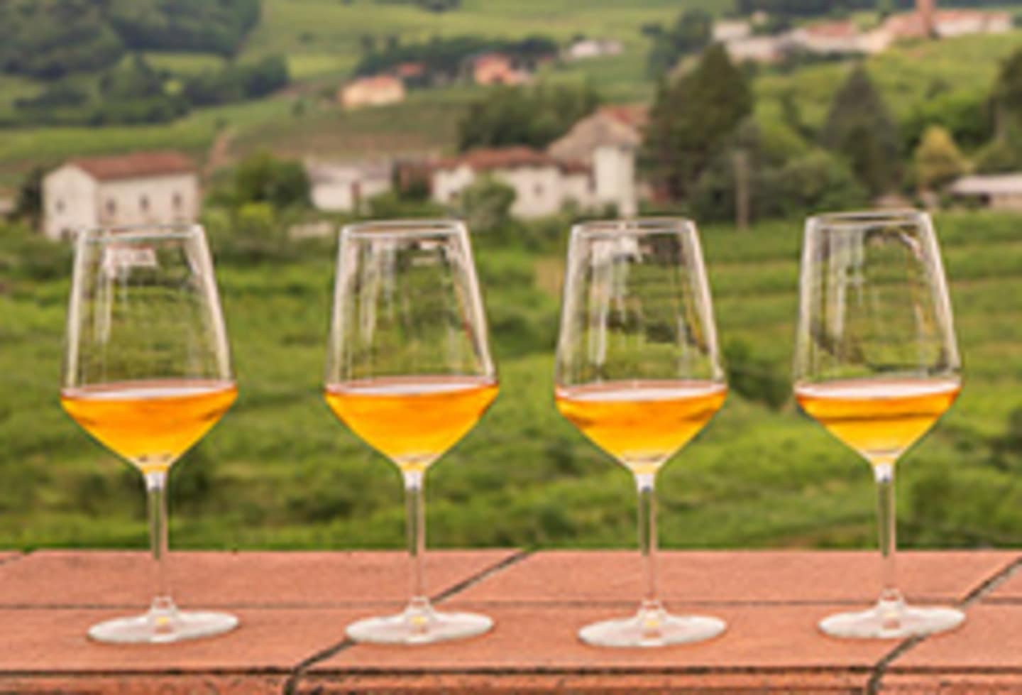 Four glasses of amber-colored liquid, likely wine, sit on a wooden surface in the foreground, with a picturesque rural landscape of rolling hills, trees, and buildings visible in the background.