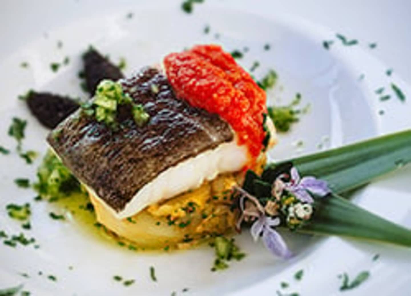 A beautifully plated dish featuring a seared fish fillet atop a bed of vibrant green herbs, accompanied by a vibrant red garnish, all set against a light background.