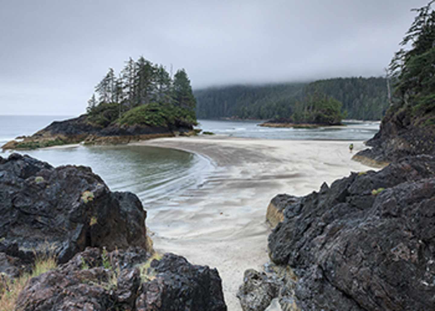 A rugged, rocky coastline with a secluded beach and dense, evergreen forests in the background, shrouded in a misty, atmospheric haze.