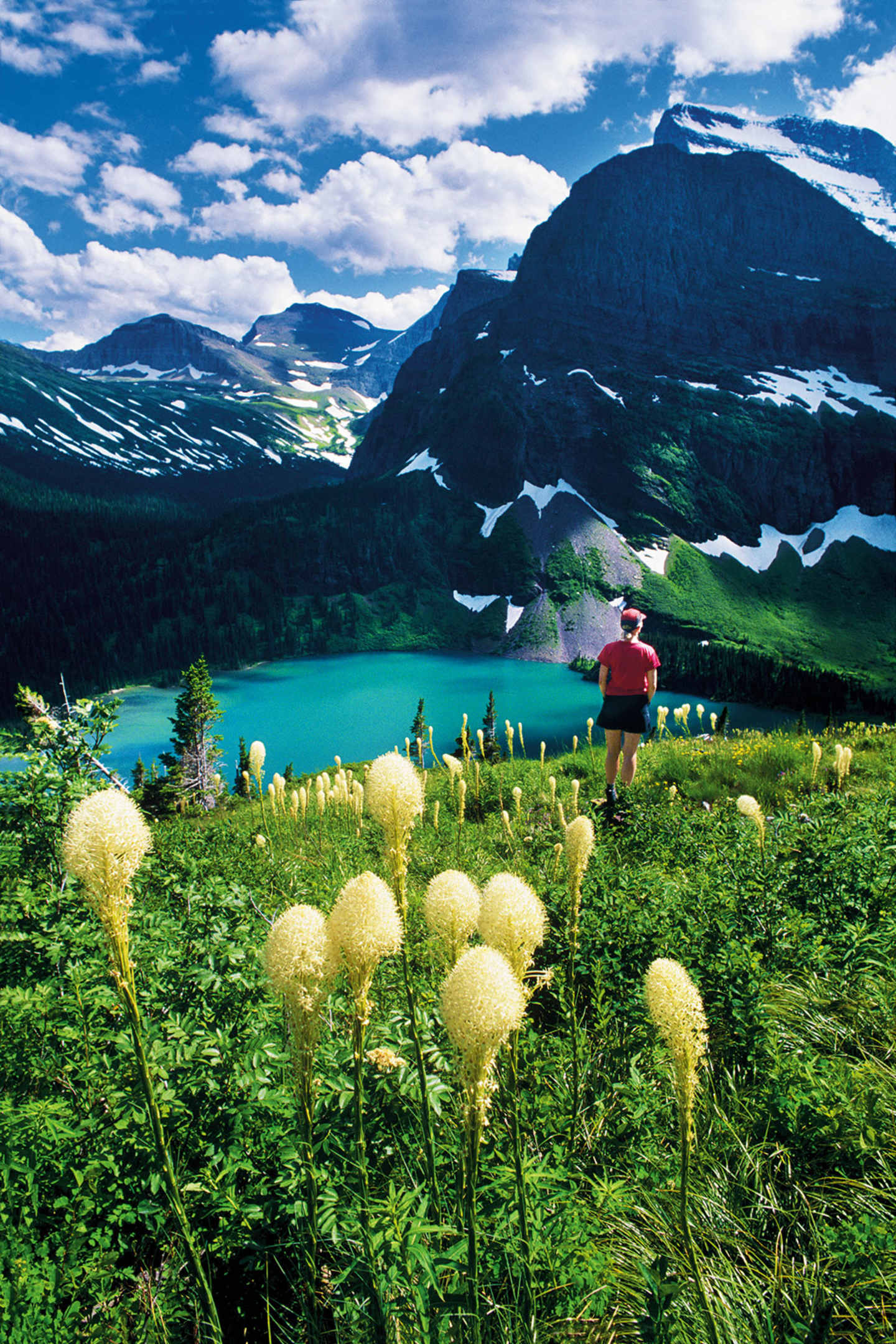A lush, green meadow with vibrant yellow flowers in the foreground, overlooking a serene turquoise lake surrounded by majestic snow-capped mountains under a picturesque cloudy sky.