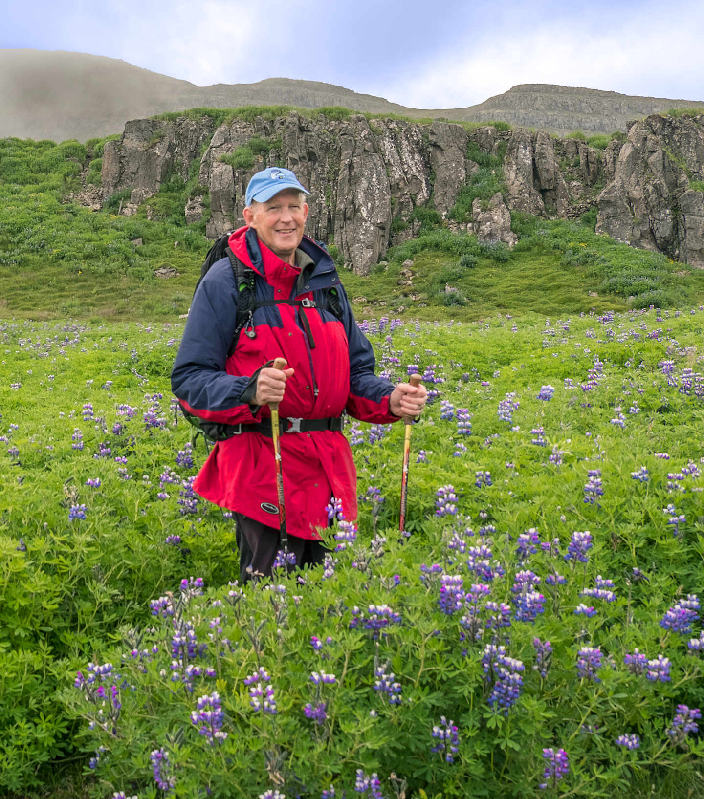 A person in a red jacket and blue cap stands amidst a field of purple flowers, with rugged mountains in the background.