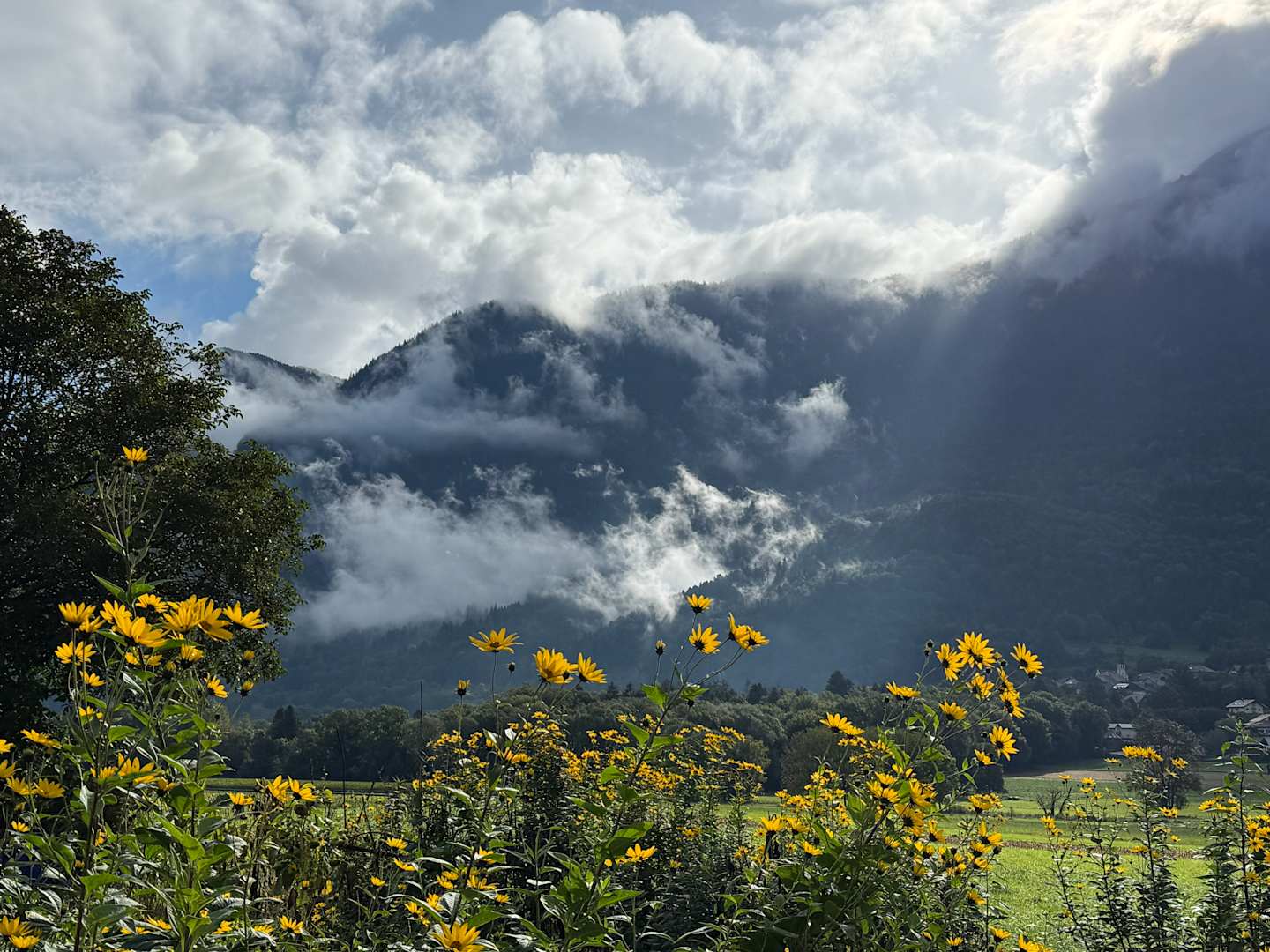 Switzerland & France: Lake Geneva, Annecy & Valleys of the Alps