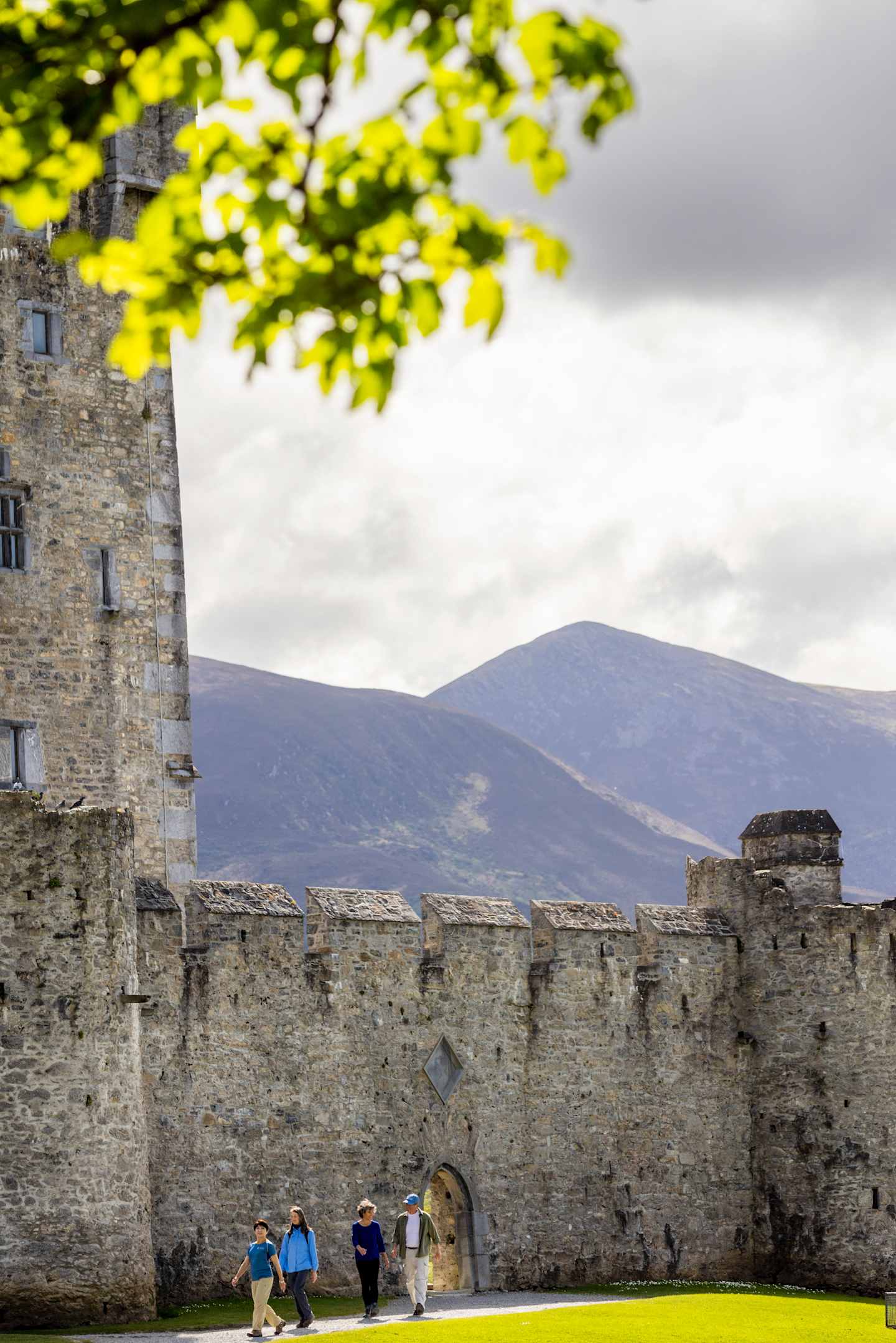 A medieval castle with stone walls and towers stands in the foreground, surrounded by lush green foliage and mountains in the background.