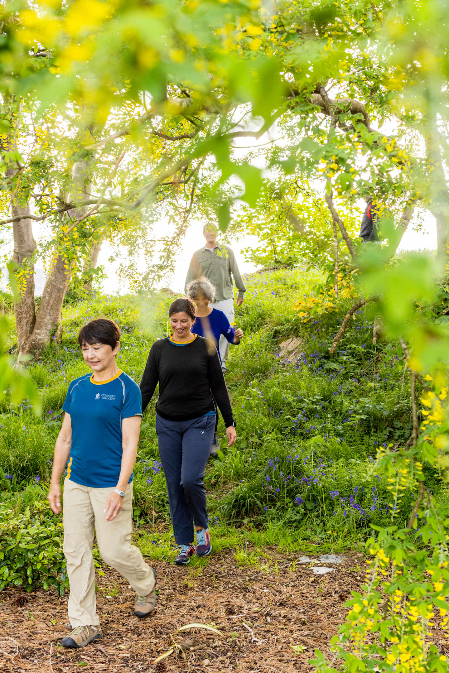 A group of people walking on a dirt path through a lush, green forest with sunlight filtering through the leaves.