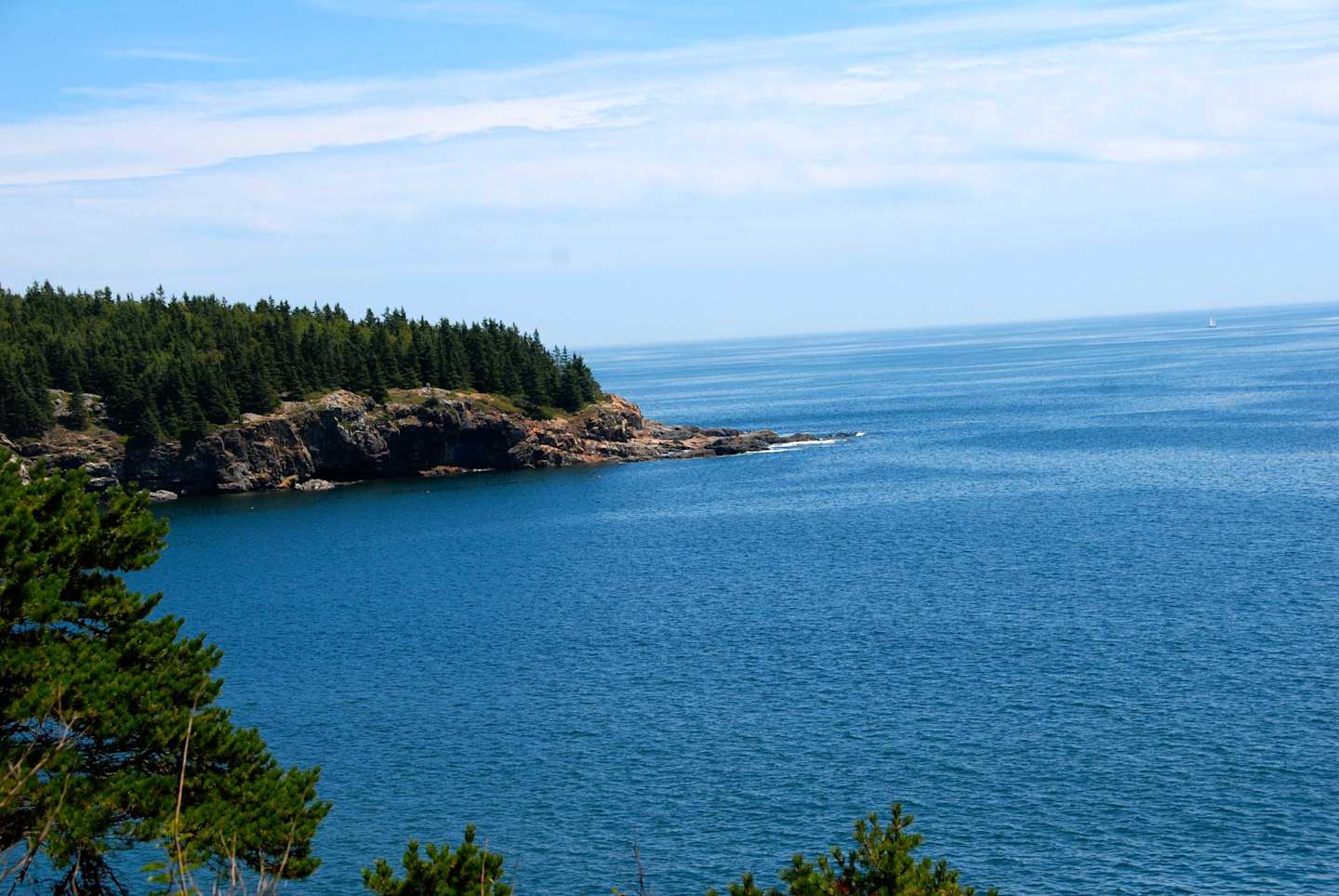 A rugged, forested coastline with steep cliffs overlooking a vast, deep blue ocean under a clear, cloudless sky.