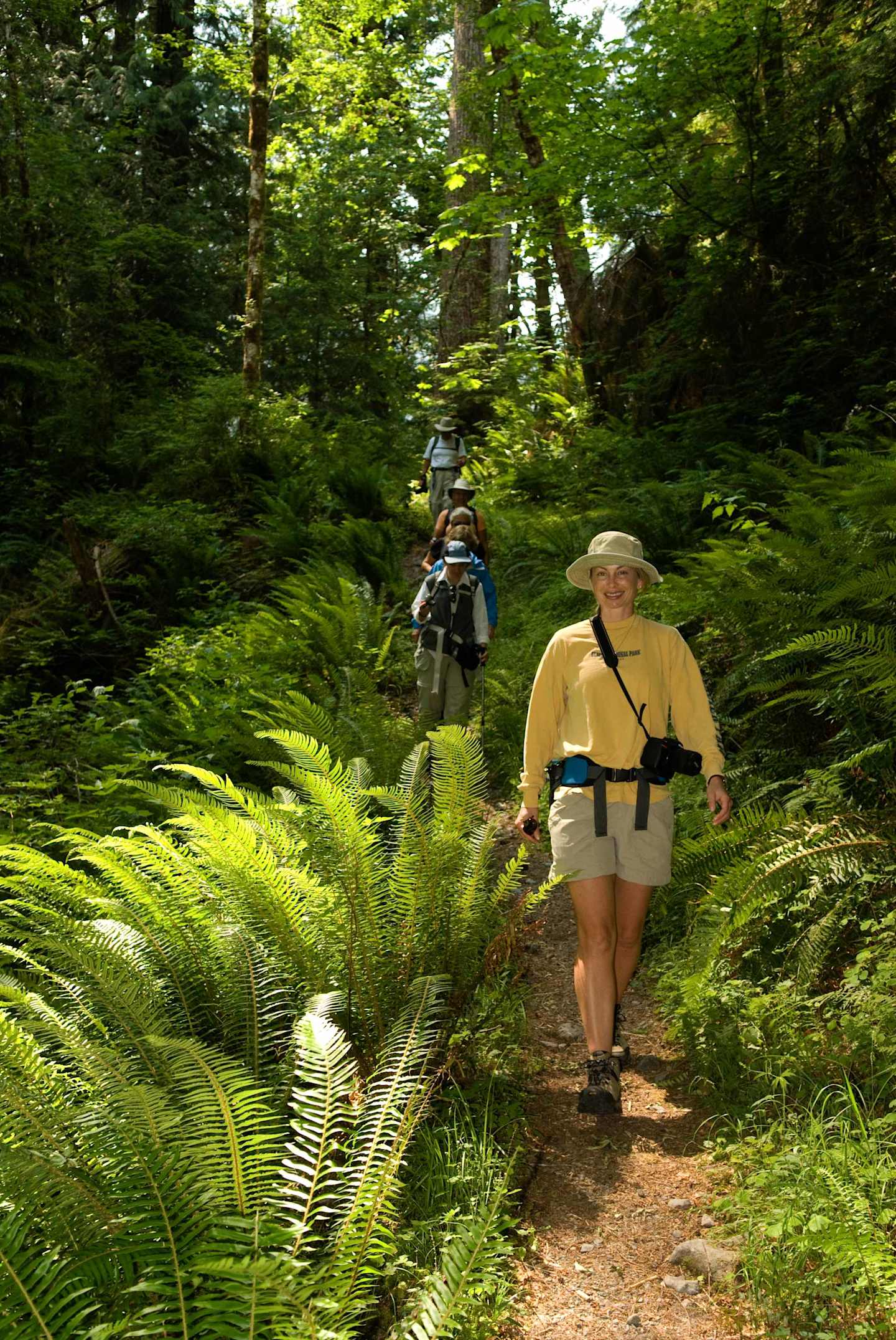 Two hikers walking on a trail through a lush, green forest filled with ferns and tall trees.