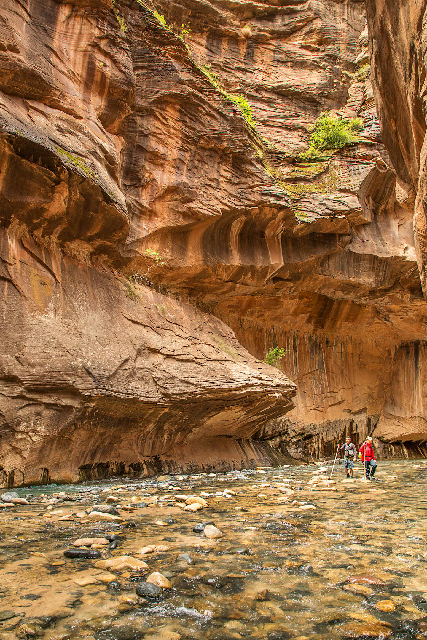 A shallow, rocky stream flows through a narrow, towering canyon with striking, multicolored rock formations along the walls.