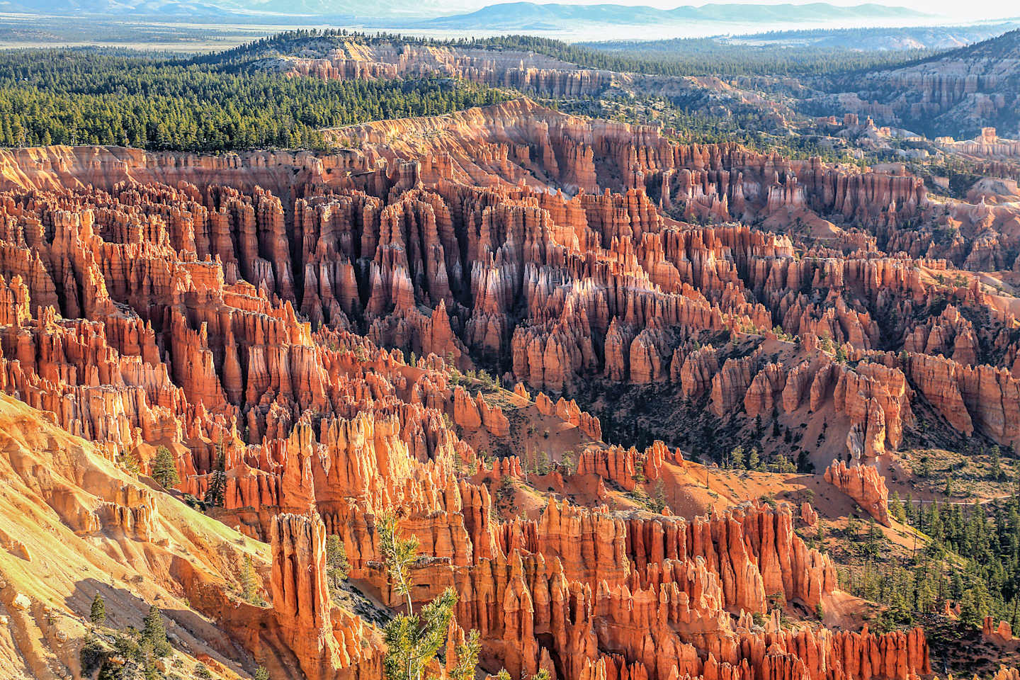 A vast, rugged landscape of towering, vibrant red rock formations and spires, surrounded by a lush, forested backdrop under a cloudy, blue sky.