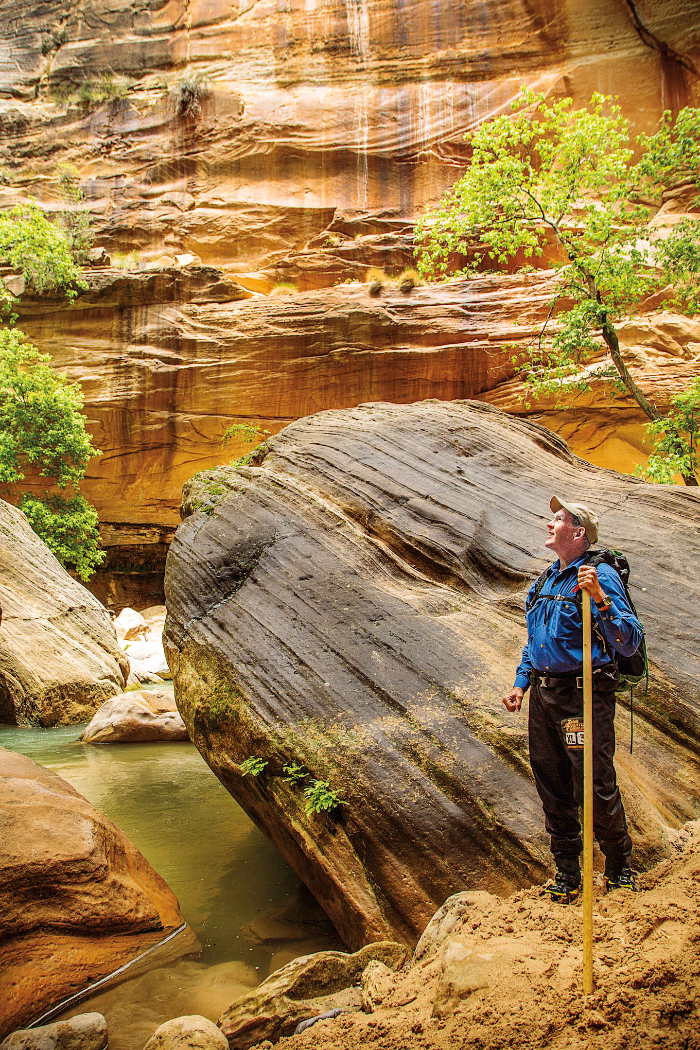 A hiker stands on a large rock formation surrounded by a canyon with vibrant orange and green hues, with a small pool of water in the foreground.