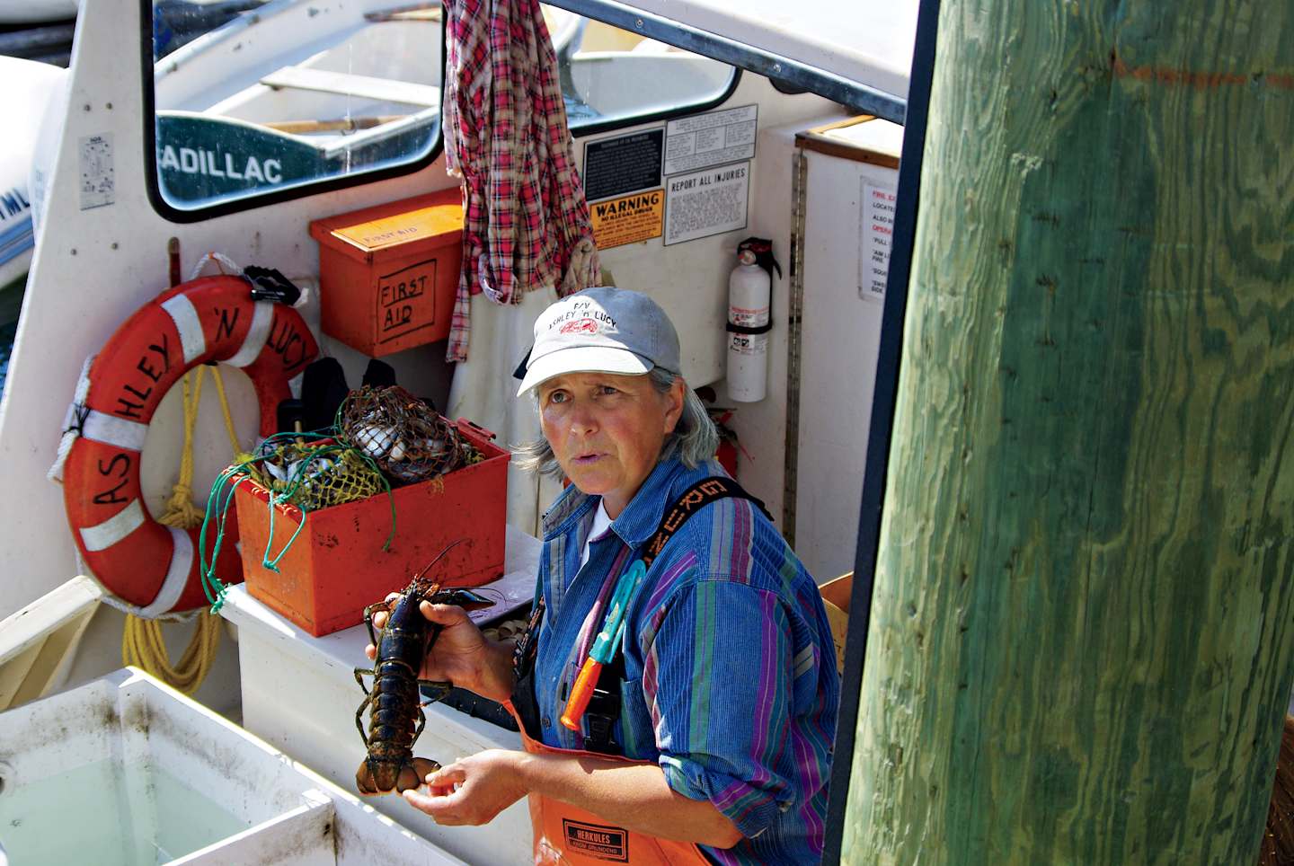 Local main fisherman with lobster, discovery Local main fisherman with lobster