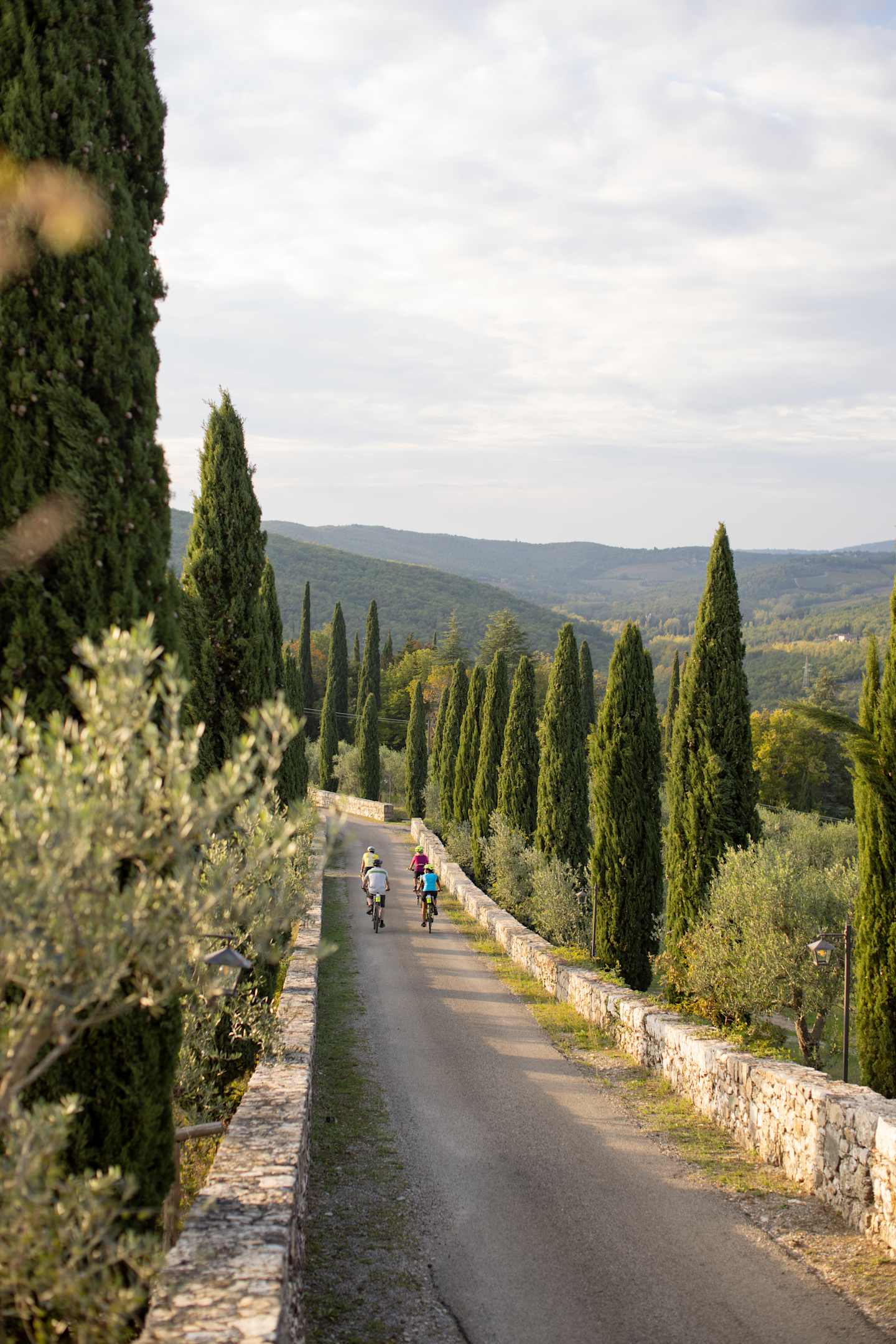 A winding road flanked by tall cypress trees winds through a picturesque Tuscan landscape, with rolling hills and a hazy horizon visible in the background.