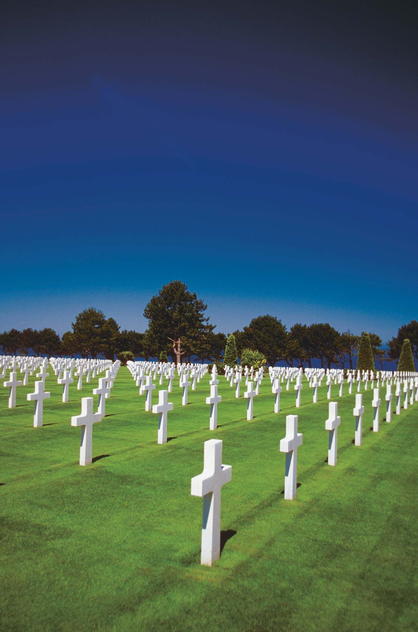 Crosses on grave