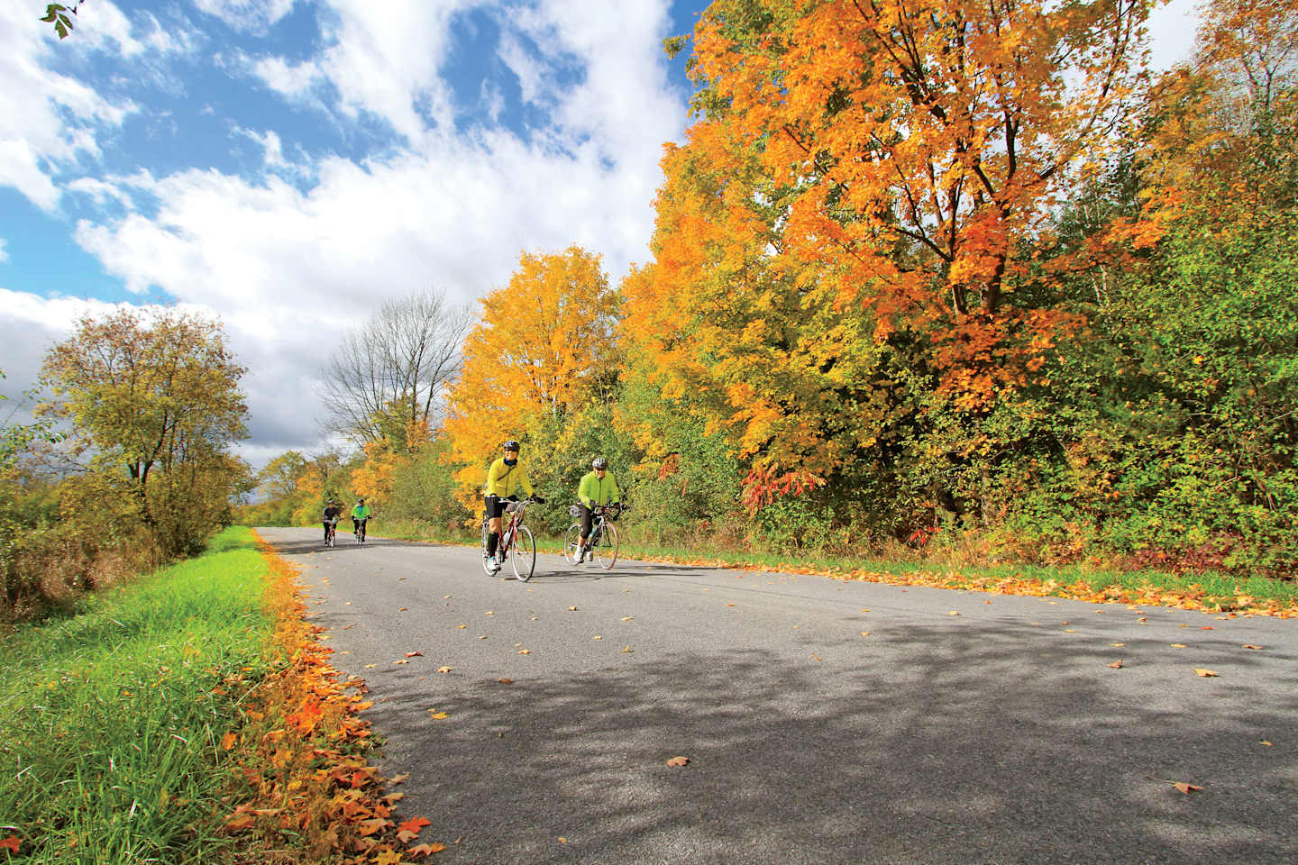 A paved path winds through a vibrant autumn landscape, with colorful trees lining the sides and people walking or cycling along the trail.