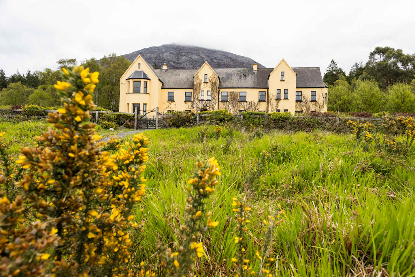 A large, pale yellow house with a dark roof stands behind a field of tall green grass and yellow flowering bushes. A large, dark mountain rises behind the house, its peak obscured by clouds.
