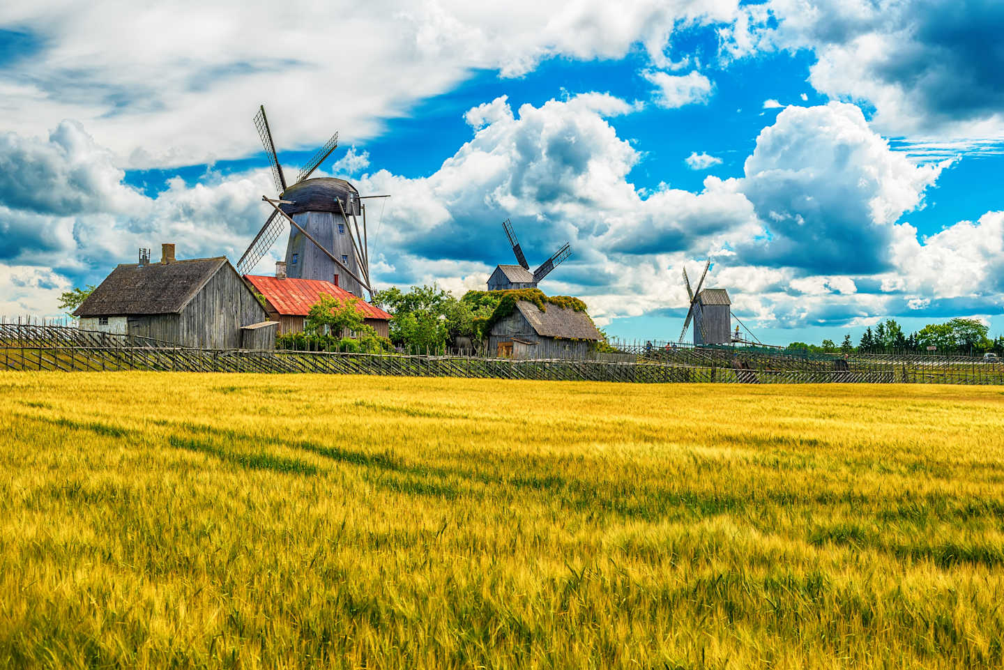 A picturesque rural landscape with a field of golden wheat in the foreground, surrounded by traditional windmills and quaint buildings against a backdrop of a vibrant blue sky with fluffy white clouds.