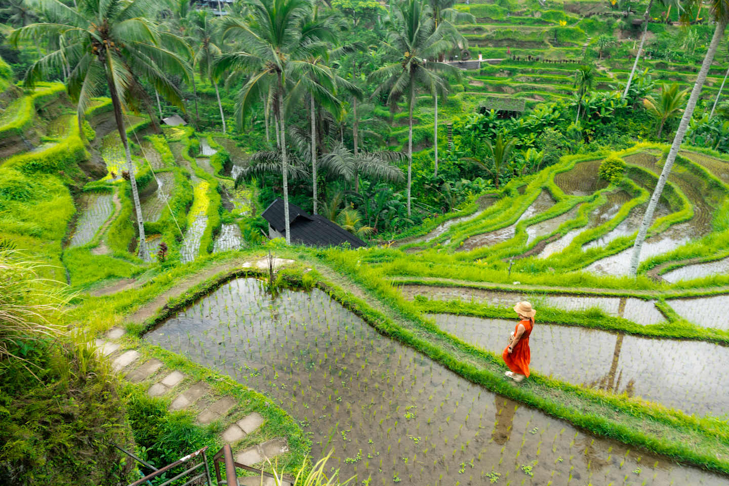 Lush, terraced rice paddies surrounded by verdant foliage and palm trees, with a person in traditional red clothing walking along a path in the foreground.