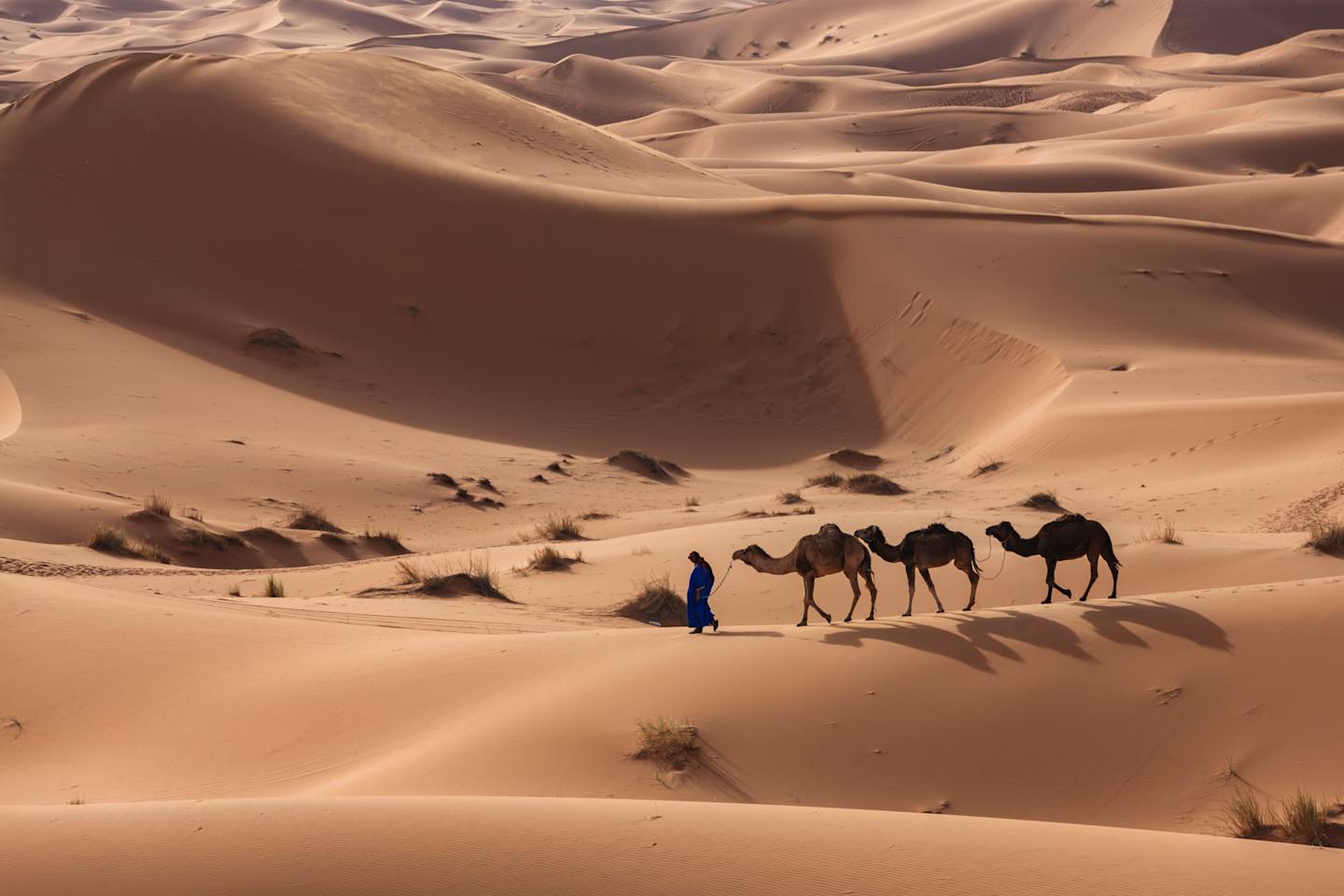 A vast, sandy desert landscape with rolling dunes and a group of camels and their riders traversing the expansive terrain.