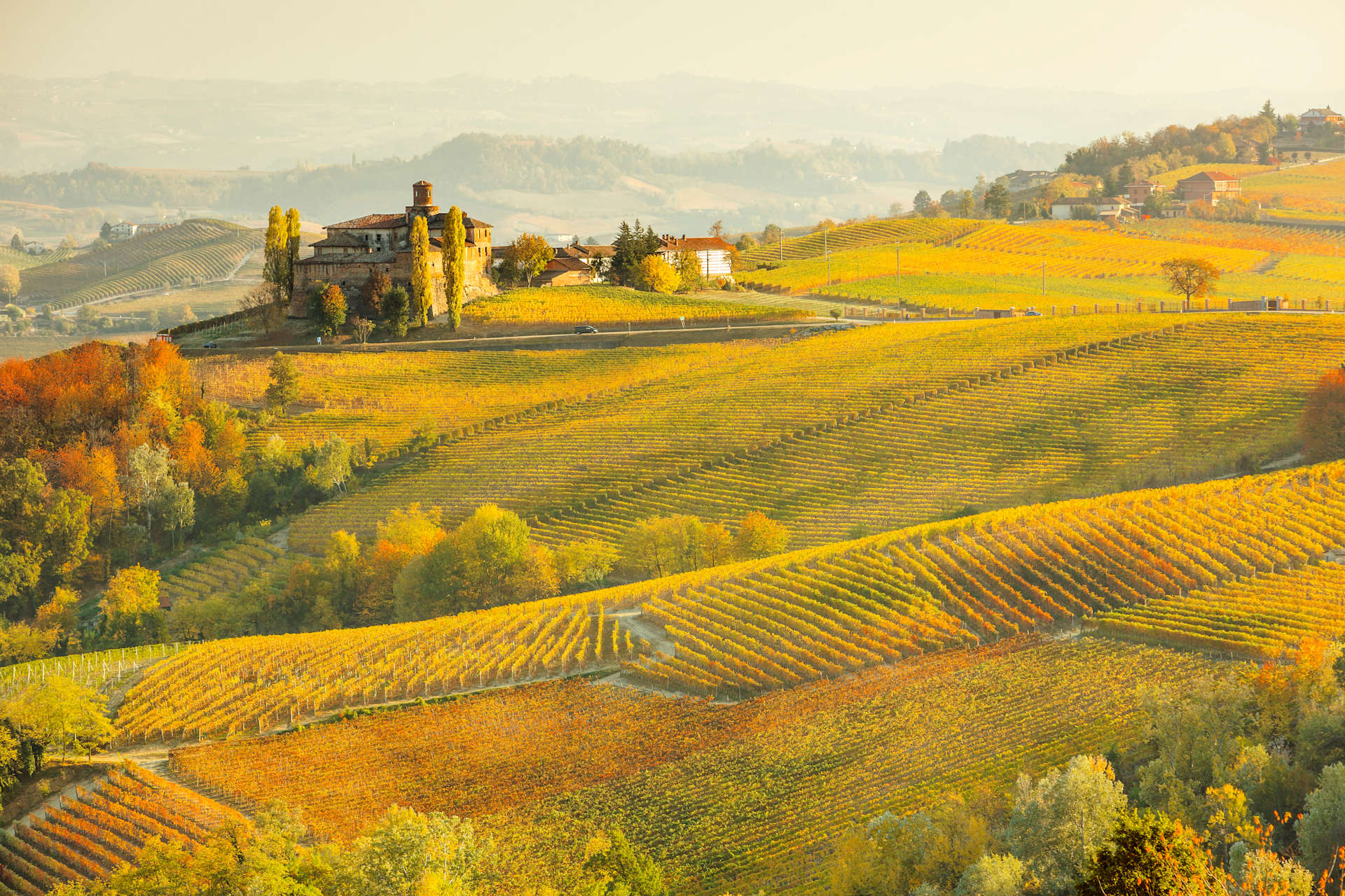 New Product Booklet  Italy, Piedmont, Cuneo district, Langhe, Barolo, Colline del Barolo, Volta Castle on the Barolo hills in autumn