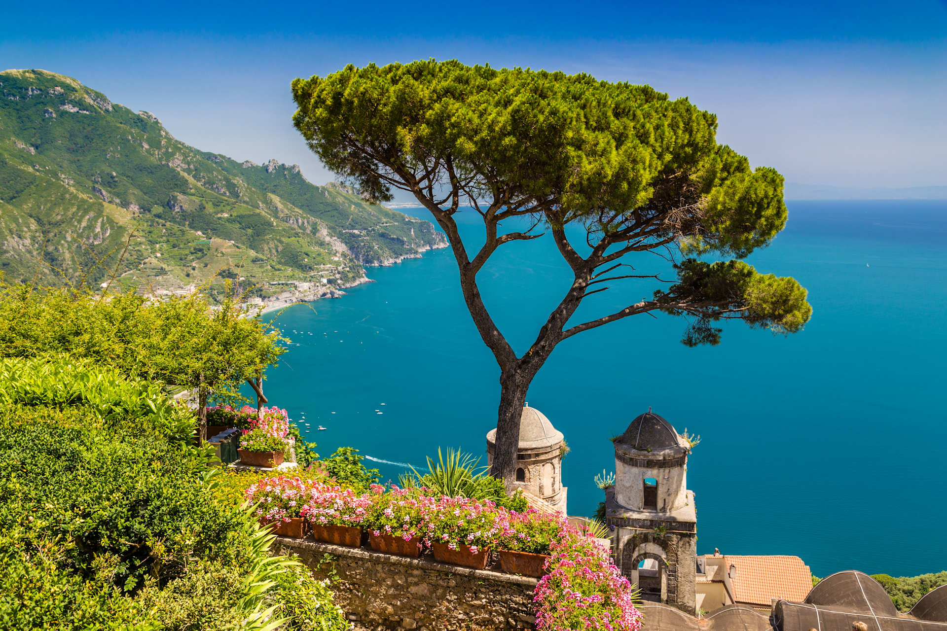 A lush, green landscape with a towering pine tree overlooking the stunning turquoise waters of the Amalfi Coast, with a picturesque village nestled in the cliffs below.