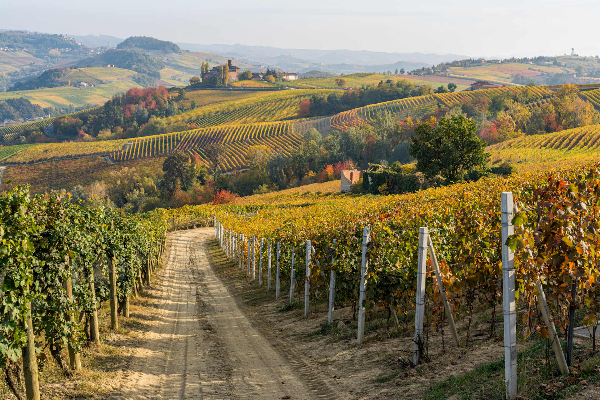 A winding dirt path leads through rows of lush, vibrant vineyards, with rolling hills and a picturesque castle-like structure in the distance, creating a serene and idyllic landscape.